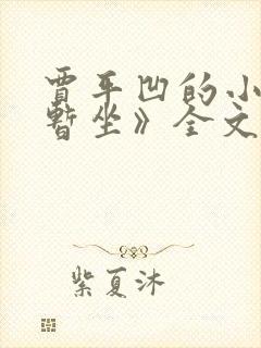 贾平凹的小说《暂坐》全文免费阅读