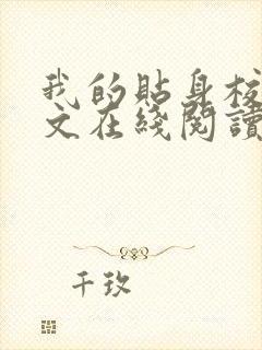 我的贴身校花全文在线阅读