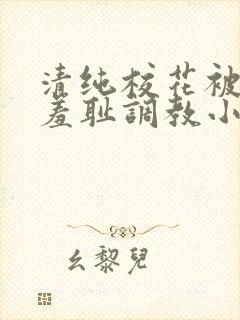 清纯校花被民工羞耻调教小说