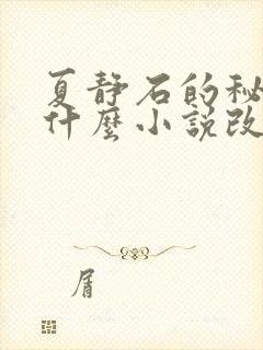 夏静石的秘密是什么小说改编的