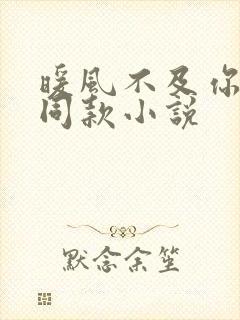 暖风不及你情深同款小说