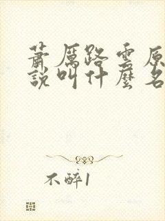 萧厉路云原著小说叫什么名字