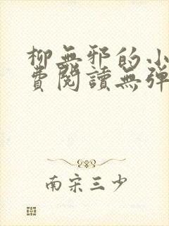 柳无邪的小说免费阅读无弹窗