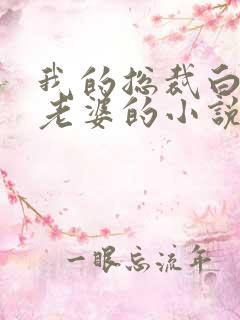 我的总裁白富美老婆的小说免费阅读