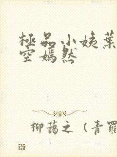 极品小姨叶凡司空嫣然