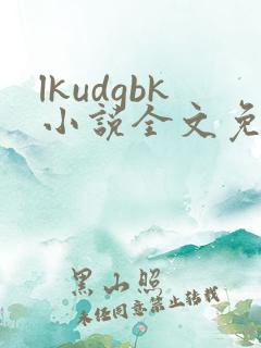 lkudgbk小说全文免费阅读笔趣阁无弹窗