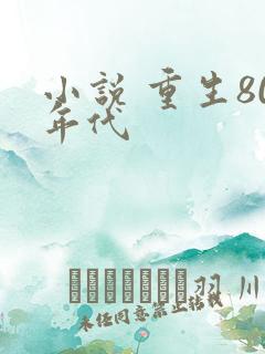 小说 重生80年代