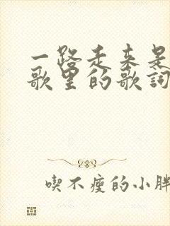 一路走来是哪首歌里的歌词