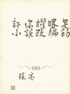 许你耀眼是哪部小说改编的