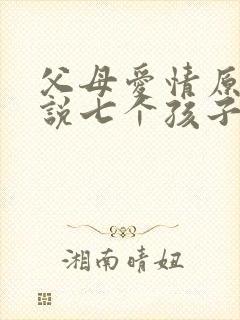 父母爱情原著小说七个孩子结局