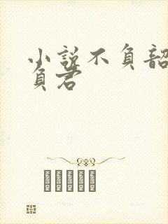 小说不负韶华不负君