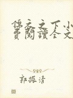 锦衣之下小说免费阅读全文无删减