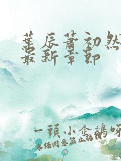 叶辰萧初然正版最新章节