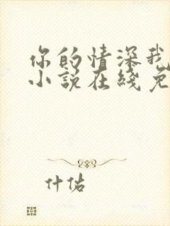 你的情深我不配小说在线免费阅读