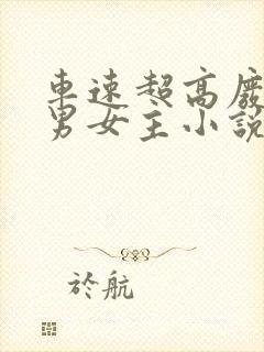 车速超高废文的男女主小说