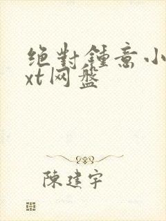 绝对钟意小说txt网盘