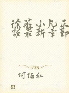 徐薇小凡正版小说最新章节