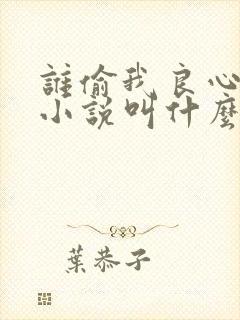 谁偷我良心原著小说叫什么