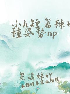 小h短篇辣肉各种姿势np