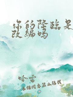 你的降临是小说改编吗