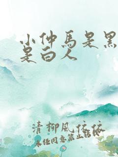 小仲马是黑人还是白人