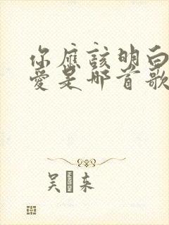 你应该明白我的爱是哪首歌的歌词