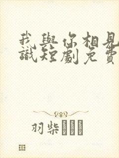 我与你相见不相识短剧免费观看全集