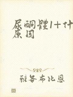 尿酮体1+什么原因