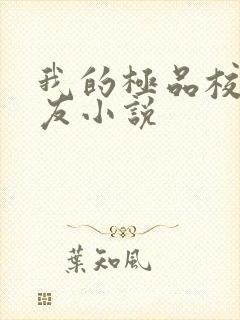 我的极品校花女友小说