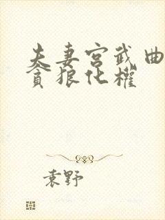 夫妻宫武曲化禄贪狼化权