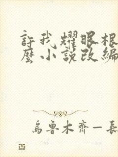 许我耀眼根据什么小说改编