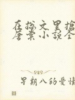 在总文里抢主角唐棠小说全文阅读