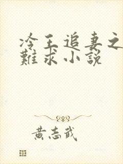 冷王追妻之医妃难求小说