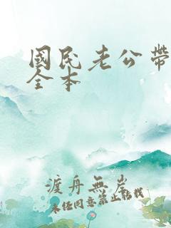 国民老公带回家全本