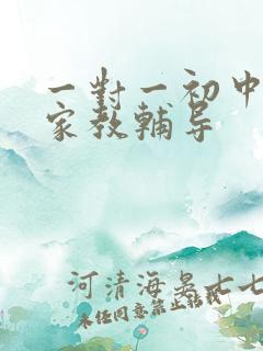 一对一初中上门家教辅导