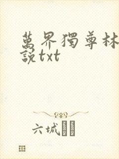 万界独尊林枫小说txt