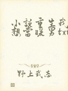 小说重生我真没想当暖男txt