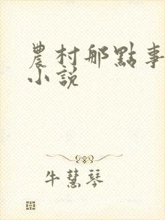 农村那点事儿的小说