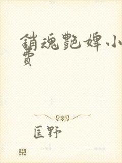 销魂艳婢小说免费