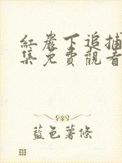 红岩下追捕46集免费观看