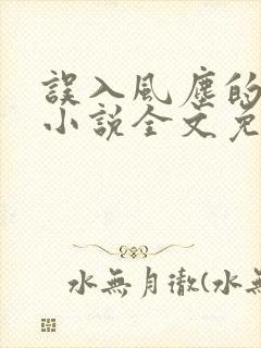 误入风尘的爱情小说全文免费阅读