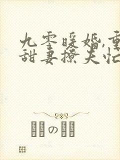 九零暖婚,重生甜妻撩夫忙