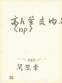 高h荤爽肉欲文〈np〉