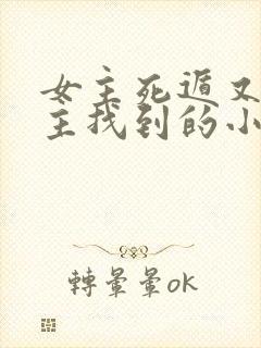 女主死遁又被男主找到的小说