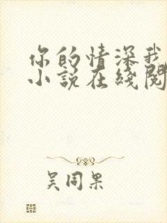 你的情深我不配小说在线阅读