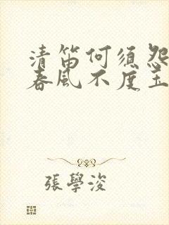 清笛何须怨杨柳春风不度玉门关什么意思