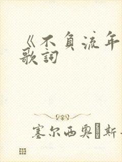 《不负流年》的歌词