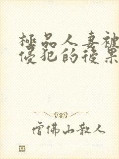 极品人妻被黑人侵犯的后果