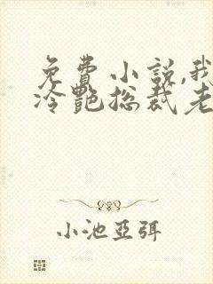 免费小说,我的冷艳总裁老婆