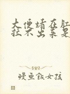 大便堵在肛门口拉不出来是怎么回事